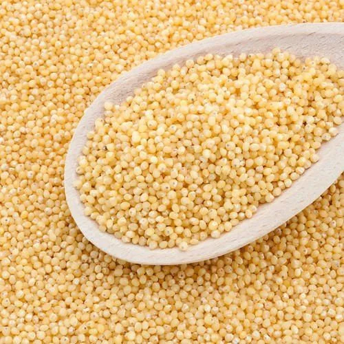 Yellow millet supplier in India